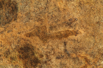 Aerial view of dry grass in meadow