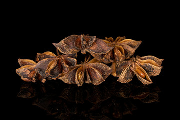 Group of six whole aromatic brown badian isolated on black glass