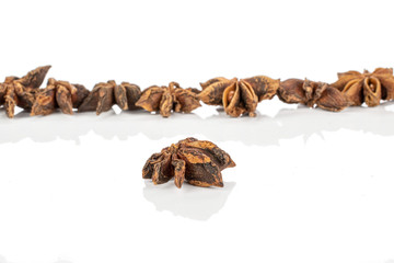 Lot of whole aromatic brown badian one in focus isolated on white background