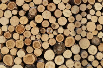 Möbelaufkleber pile of wood © Александр Кузнецов