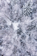 Aerial of man in a beautiful winter snow covered forest