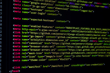 developer software source code screen. programming code. writing script. programmer editing code background