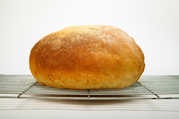 Freshly baked cob loaf of bread resting on a cooling rack isolated on a white background