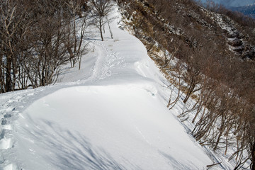 雪山　登山道