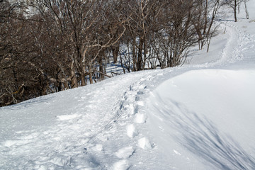 雪山　登山道