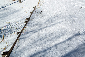 雪道