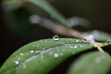 After rain 3