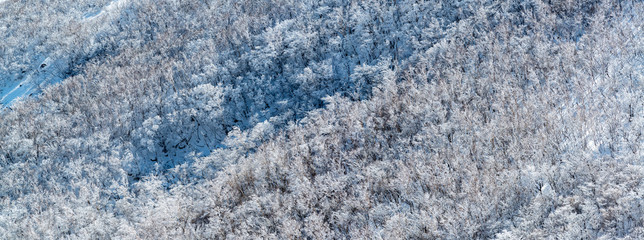 樹氷のパノラマ