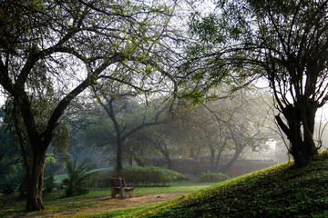 Obraz premium Mehrauli archaeological park near Qutub minar in Delhi, one of the few hidden Wonderful archaeological site from Mughal era.