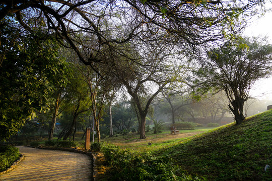 Mehrauli archaeological park near Qutub minar in Delhi, one of the few hidden Wonderful archaeological site from Mughal era.