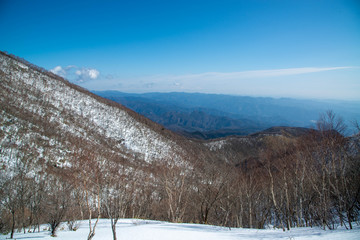 低地 雪山