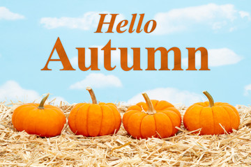 Hello Autumn message with orange pumpkins on straw hay