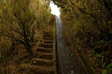 Levada do Alecrim, Madeira Island