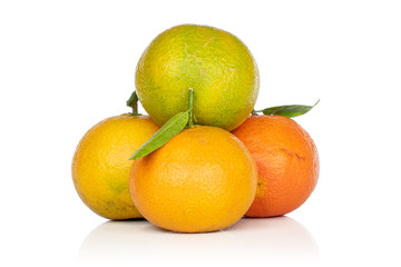Group of four whole fresh orange mandarin heap isolated on white background
