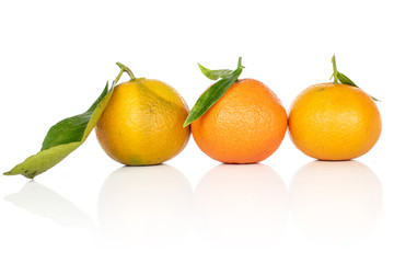 Group of three whole fresh orange mandarin isolated on white background