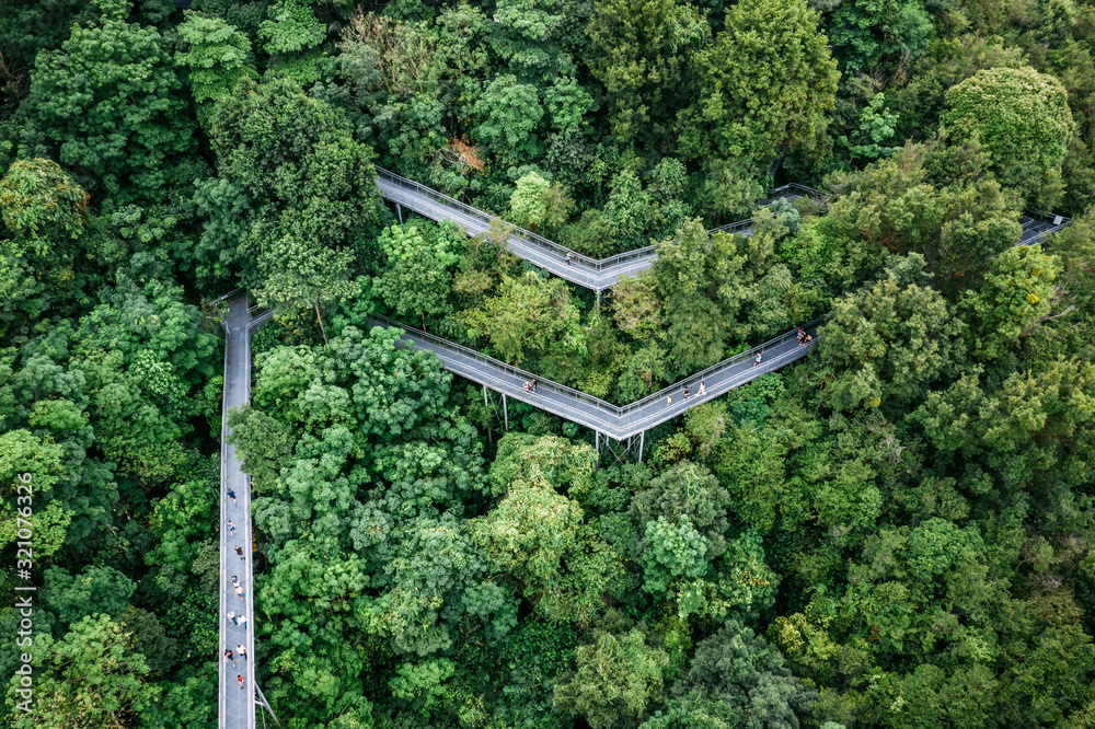 Wall mural apr 28/2019 morning at telok blangah hill park, singapore