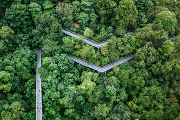 Apr 28/2019 Morning at Telok Blangah Hill Park, Singapore