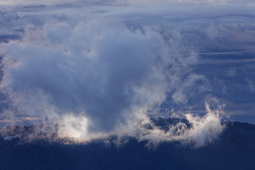 brume dans la forêt des Vosges