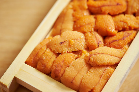 A pack of fresh raw sea urchin