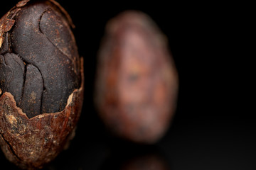 Group of two whole fresh brown cocoa bean one in focus isolated on black glass