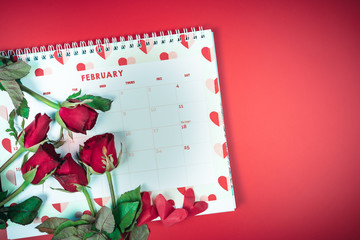 flat lay decorate design for valentine's day with red rose on calendar  background and copy space
