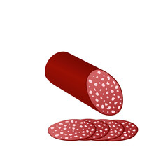 Closeup of salami and slices isolated illustration on white. Cartoon style salami. Presentation of meat products for cafes and restaurants.