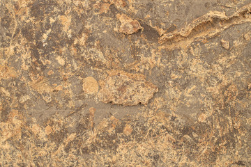Cocoa butter bar macro texture