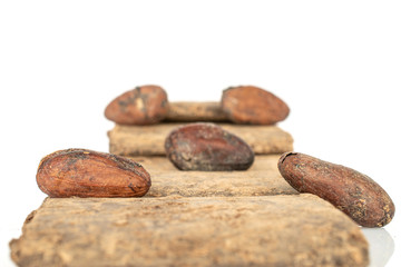 Group of five whole fresh brown cocoa bean with cocoa butter isolated on white background