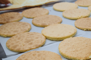 hot round cakes lay on paper