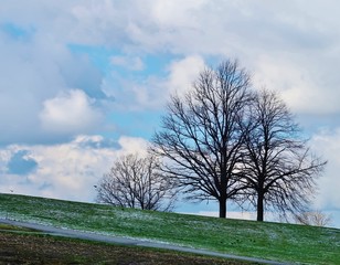 Fototapeta na wymiar Bäume in winterlicher Landschaft