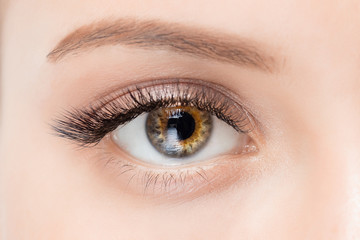 Macro woman eye heterochromia with beautiful brown red shades smokey makeup fashion. Concept...