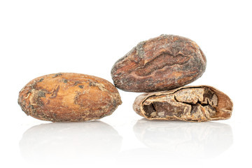 Fototapeta na wymiar Group of two whole one half of fresh brown cocoa bean isolated on white background