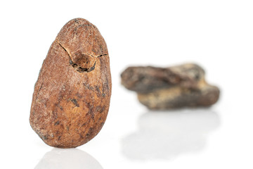 Group of three whole fresh brown cocoa bean front focus isolated on white background