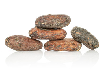 Group of five whole fresh brown cocoa bean isolated on white background
