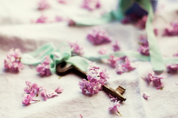 Fototapeta na wymiar lilac and key