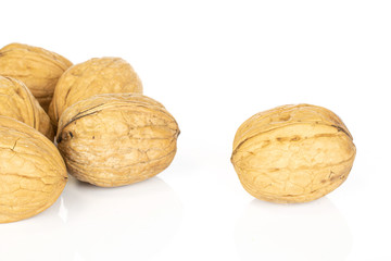 Group of six whole tasty brown walnut isolated on white background