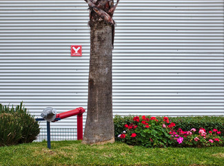 RED SIAMESE CONNECTION HYDRANT IN OUTDOOR GARDEN, FIRE SAFETY CONCEPT
