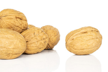 Lot of whole tasty brown walnut isolated on white background