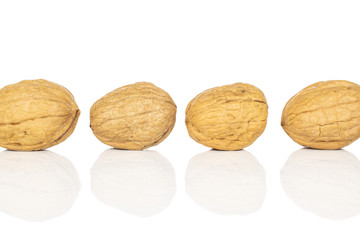 Group of four whole tasty brown walnut line isolated on white background