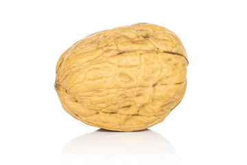 One whole tasty brown walnut isolated on white background