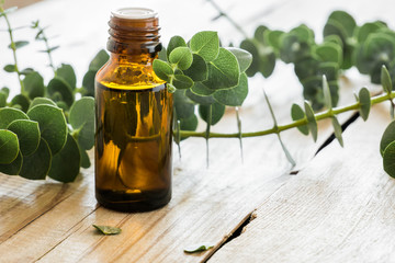 Eucalyptus essential oil and eucalyptus leaves on the background of an unpainted wood