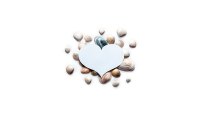on a white background under a white heart a gift for Valentine's Day different beautiful sea shells in the form of postcards with a copy space