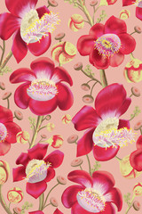 Cannonball Tree - Blush Floral Pattern