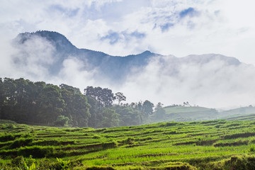 Fototapeta premium Morning - fog - mountain