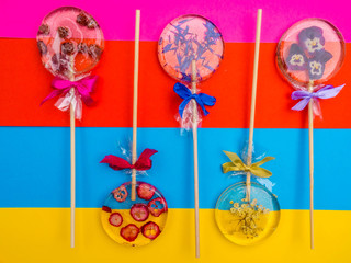 Handmade flat round lollipops with flowers and berries inside on colorful background. Elder, violet, cornflower, raspberries, cranberries, wild strawberries, Herbs and berries. Health concept