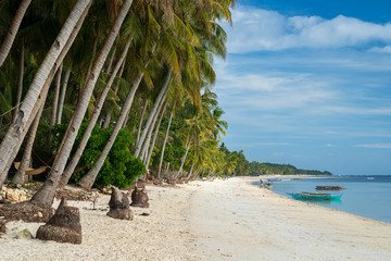 Philippines white beach at island siquijor at sunset with palm tree coconut tree and banca boat