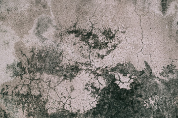 texture of old wall