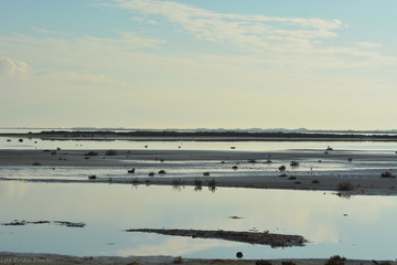 Etangs en Camargue