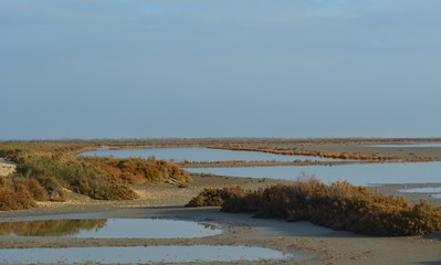Etangs en Camargue