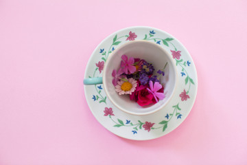 flowers on pink background in a tea cup